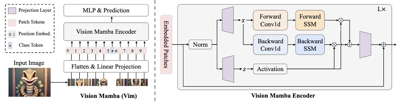Vision Mamba: efficient visual representation learning with bidirectional state space model